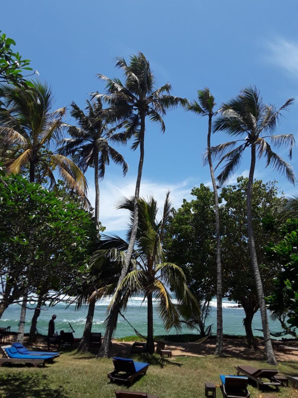 Palm Villa Mirissa Banduramulla Buitenkant foto